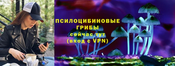 дмт Аркадак
