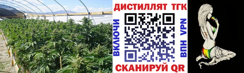 Дистиллят ТГК концентрат  Купить  Бикин 