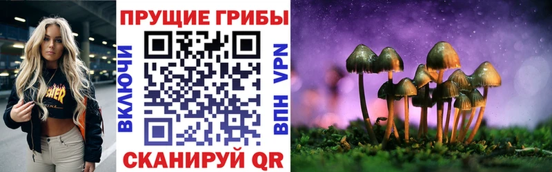 Купить закладки  Бикин  Галлюциногенные грибы Psilocybine cubensis 